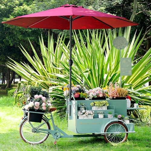 Carrito de venta de alimentos móvil, soporte comercial para zumos y flores con almacenamiento, paraguas para puestos de calle al aire libre, ideal para camiones de comida y eventos