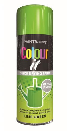 RAPIDE PF Colour It Spray Gloss Lime Green 400ML - Quick-Drying High-Performance Spray Paint | Ideal for Metal, Plastic, and Wood | Interior & Exterior Use