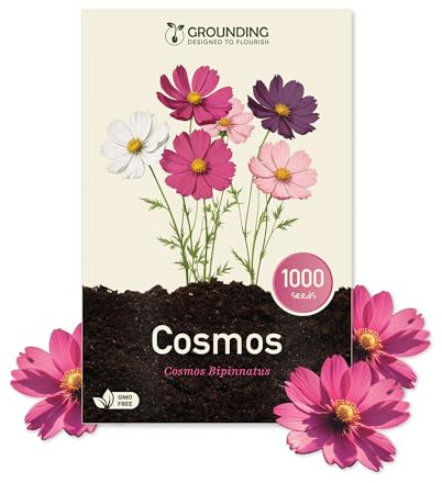 Grounding - Semi di Cosmea Mix bianco, rosa e fucsia, 1000 semi, altezza 80-120cm. Il Cosmos bipinnatus è ideale per aiuole e fiori recisi - Semina facile, fioritura prolungata, qualità Europea