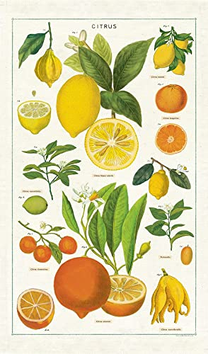 Cavallini Citrus Tea Towel Geschirrtuch, Baumwolle, Natürlich, Small