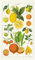 Cavallini Citrus Tea Towel Geschirrtuch, Baumwolle, Natürlich, Small