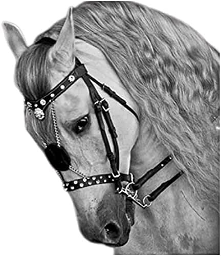Horse Bridle With Rein - Equestrian Horse Bridles - Adjustable Horse Bridle Headcollar Equestrian Accessories Horse Halter Saddle Accessories Bridles For Horses