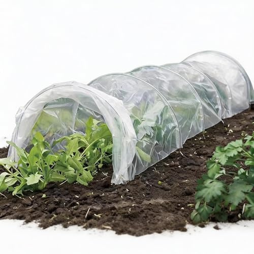 Film para Invernadero, Resistente a Desgarros Transparente y Alta Resistencia 2 x 10 m, Lámina para Invernadero de Jardinería y Agricultura, para Jardinería Agricultura Invierno Primavera