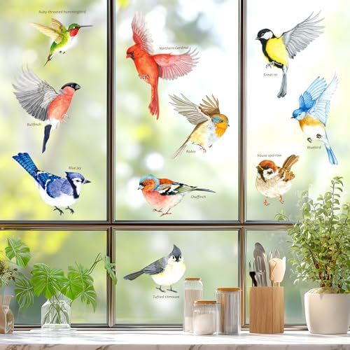 DECOWALL CDS2-9001 Anti-Collision Window Clings Bird Alert Collision Decals to Prevent Bird Strikes on Window Glass - Set of 10 Garden Birds