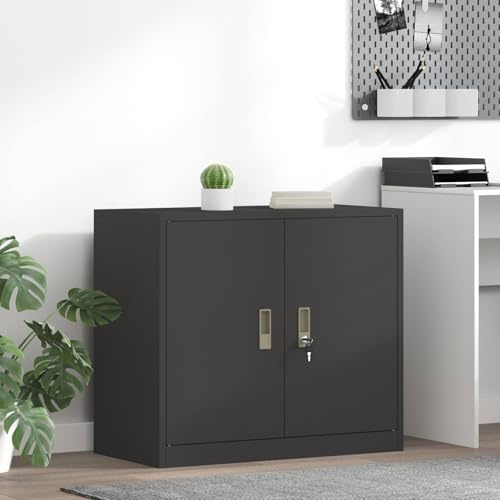 INLIFE Armoire de Rangement Noir 80 x 40 x 70 cm Acier Laminé à Froid