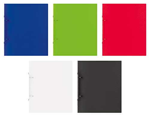 Brunnen RINGB.A5 FACT 2RINGE GRUNDFARBEN