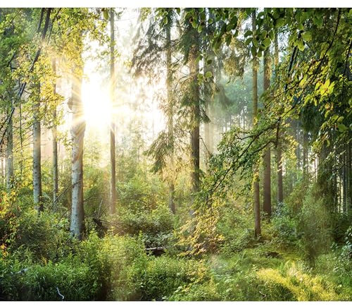 decomonkey Fototapete Wald grün 350x256 cm Tapete Fototapeten Vlies Tapeten Vliestapete Wandtapete moderne Wand Wandbild Schlafzimmer Wohnzimmer Landschaft Natur