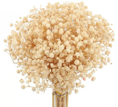 MIHUAGE Dried Flowers Babys Breath Bouquet,100% Natural 17.2 3000+ Ivory White Bundles Gypsophila for Wedding DIY Arrangements Home Decorations Table Vase Decor 4oz(Beige)
