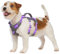 Huntboo Sicherheitsgeschirr Hund Ausbruchsicher, Panikgeschirr für Hunde, Reflektierendes Geschirr Hund mit Griff, Verstellbare Hundegeschirr für kleine, mittelgroße und große Hunde (Lavendel Lila,XS)