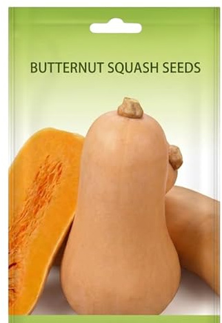 Siembra Calabaza Butternut con DECOALIVE | Semillas de Calabaza Alargada para Otoño, Crecimiento Vigoroso y Uso en Cocina Diaria