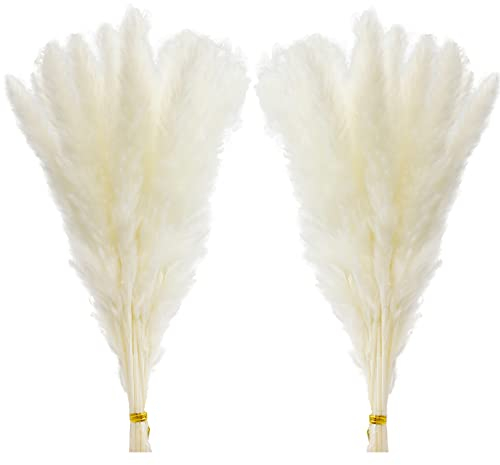 Comtelek 30 Stück Pampasgras,45cm Natürlich Pampasgras Getrocknet Weiss Deko Trockenblumenstrauß für Wohnzimmer,Schlafzimmer,Boho，Tischdeko Hochzeit（Weiß）…