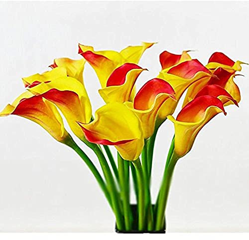 Calla Lily Bulbi Decorazione Magic Park Decorazione Grande Matrimonio Decorazione-10 Lampadine