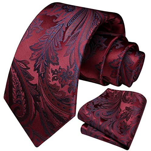 HISDERN Cravate de mariage et mouchoir de poche pour homme Motif cachemire floral, Bordeaux-01, taille unique