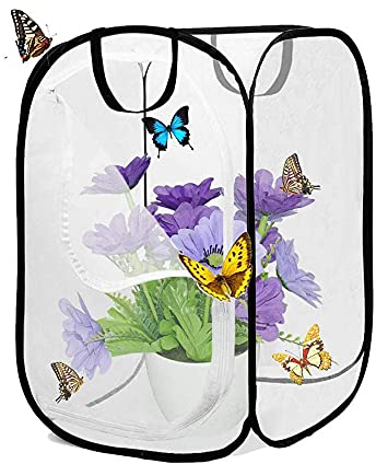 Ritte 1 Stück Schmetterlings Habitat Käfig, Insekten Habitat Käfig, Faltbarer Netzkäfig Für Insektenhabitat, Sämlingszucht