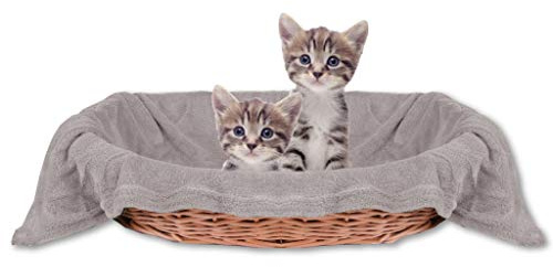 Bestlivings Couverture douillette pour animal de compagnie - Confortable et super douce - Disponible dans de nombreux choix (60 x 80 cm/gris clair - gris pierre)