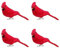 Psdndeww 4 Stück künstliche rote Vögel Clips auf Weihnachtsbaumschmuck Simulation Vogel Ornament