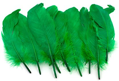 10 Gänsefedern 15-20cm (grün 580) // Echte Federn Bastelfedern Schmuckfedern Dekofedern Vogelfedern Dekofedern