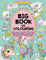 Big Book of Colouring for Girls: Children Ages 4+ (Big Books of Colouring (Ages 4+))