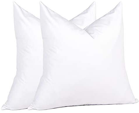 puredown® Feather Down Throw Pillow Inserts 22 x 22 (Pack of 2, White), Big Throw Pillows for Floor, Couch, Bed, Machine Washable