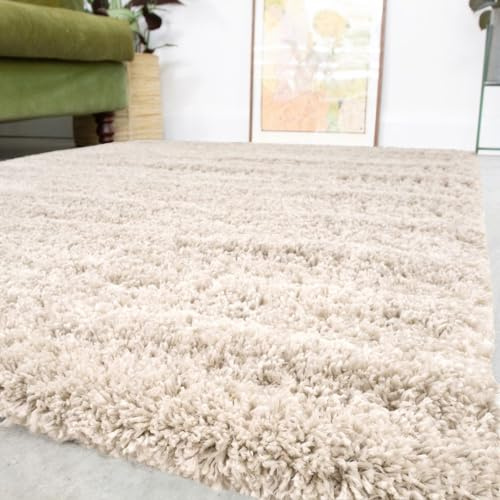 Luxury High Pile Fluffy Super Soft Shaggy Beige Living Room Area Rug Durable Thick Plush Carpet Shag Bathroom Mat Bedroom Hallway Rugs 120cm x 170cm