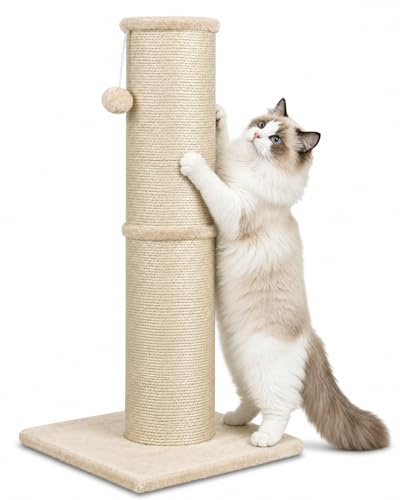 AGYM Cat Scratching Post with 5.5 Inch Diameter Sisal Post, 32 Inch, Beige