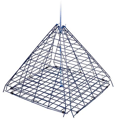 Krabbenfalle Stern, 40,6 cm
