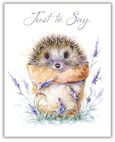 Noel Tatt Pack of 4 Small 'Just to Say' Greeting Cards - Lovely Artistic Design with Cute Hedgehog in a Flowerpot - 4 Cards of 1 Design
