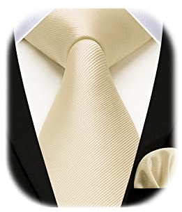 Enlision Beige Ties for Men Wedding Tie and Pocket Square Set Solid Champagne Necktie Handkerchief Mens Tie Set for Party Formal Business