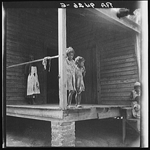 HistoricalFindings Photo: Turpentine Workers,Cordele,Alabama,AL,Farm Security Administration,FSA,1
