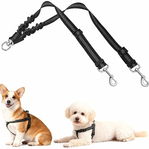 Aiyraa Double Dog Lead for Walking 2 Dogs, Dual Dog Lead, No Tangle 360° Swivel Split Dog Lead, Bungee Shock-Absorbing for S/M/L, Extendable Heavy Duty Double Ended Twin Dog Leash