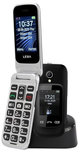 Téléphone Portable Senior à Clapet 4G Débloquéavec avec Double Écran (2,4 + 1,77), Mobile pour Personnes Âgées avec Grosses Touches, Bouton SOS, Socle de Charge, Volume Fort, Batterie 1300mAh, Flip