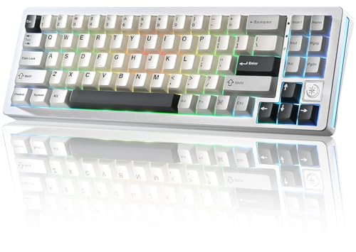 YUNZII AL71 68% tastiera meccanica, all-alluminio CNC, anello hot-swap, 2,4 GHz, tastiera wireless BT5.0/USB-C da gioco, NKRO RGB, per Win/Mac (argento, crystal white switch)