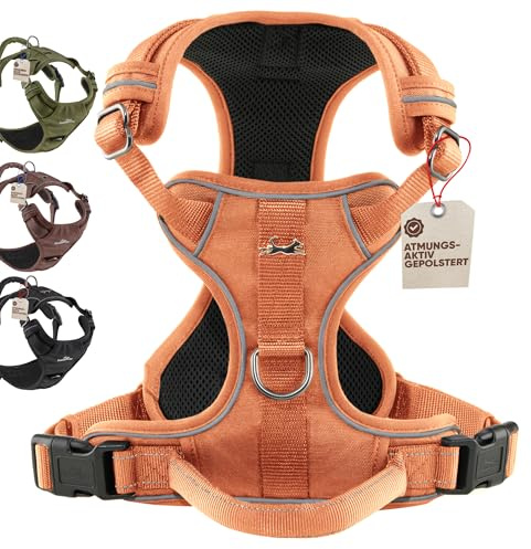 FREUDENTIER Hundegeschirr mit Mesh-Polsterung - Höchster Komfort, bombenfester Sitz & maximale Sicherheit - Anti-Zug-Frontring - Brustgeschirr für große, mittelgroße und kleine Hunde (Orange, M)