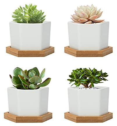 FORAGIFT Macetas para suculentas de 7 cm, maceta pequeña hexagonal de diseño simple, macetas de cactus de cerámica blanca con bandeja de bambú y agujero de drenaje, ideal para decoración de oficina en