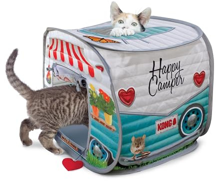 KONG Play Spaces Camper