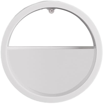 Xafrstyu Moderne Wandpflanzgefäße, Metall Hängende Wandvase, Rund Sukkulenten-Übertopf für Balkon, Zimmer und Terrasse, Dekoration (L,Weiß)