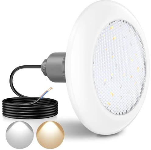 LyLmLe Projecteur Piscine LED Vissable avec Filetage 2, 18W Lampe Piscine Commutables Blanc 3000K & 6000K, Ø242mm, 12V AC Ampoule Piscines pour Préfabriquées Fibre Polyester, Hors-Sol Bois Acier