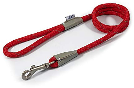 Ancol Viva Laisse réfléchissante en Cuir pour Chien - Rouge - Durable et résistant aux intempéries - Accessoire de Promenade pour Chiot - 1,07 m x 10 mm