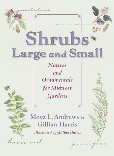 Shrubs Large and Small: Natives and Ornamentals for Midwest Gardens