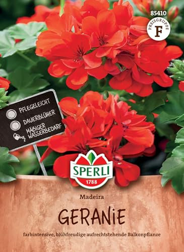 Sperli Geraniensamen Madeira, F1 85410 - Das perfekte Saatgut für eine blühfreudige, aufrechtstehende Balkonpflanze. Die Geranie ist sehr farbintensiv und pflegeleicht.