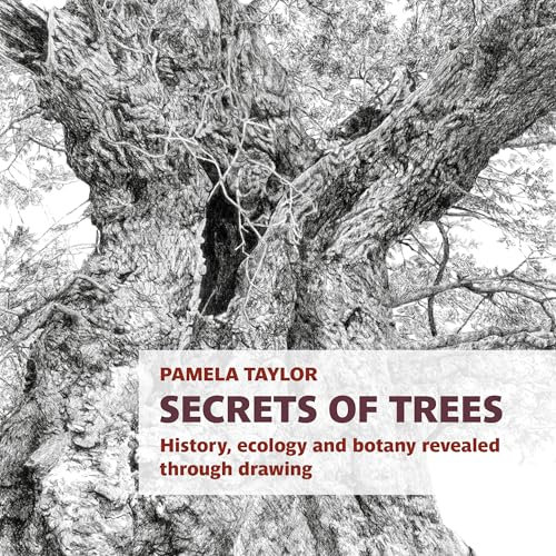 Secrets of Trees: History, ecology and botany revealed through drawing (Botanical Art Portfolios)