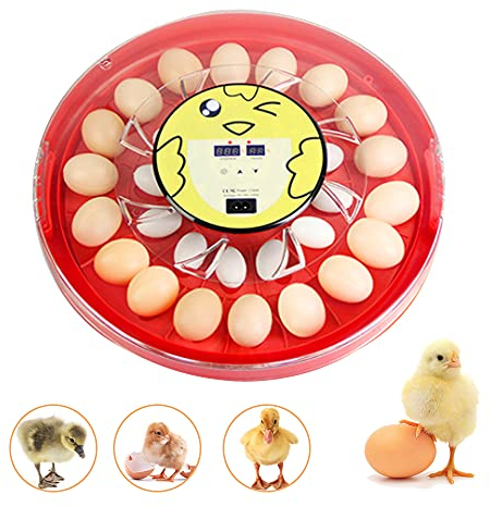 Brutkasten Hühner - Brutautomat vollautomatisch, inkubator Hühner 30 Eier,Brutmaschine, thermostatisch, Automatischer Hühnerbrutkasten Zum Ausbrüten von Enten und Gänseeiern