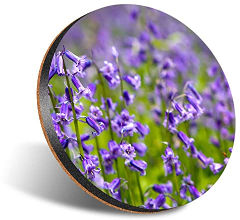 1 x Round Jumbo Size Coaster 12cm Bluebell Forest Flowers Woods Blue Cork Backed MDF Glossy Tea Coffee Accessory #50347