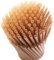 Cozylkx 200 Pajitas De Caña De Azúcar Ecológicas, Pajitas Desechables Biodegradables De 21 Cm, Pajitas Compostables Desechables para Bebidas Frías Y Calientes