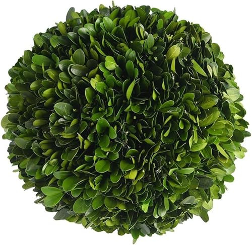 BOXWOOD WORLD Decorative Boxwood Balls for Bowls and Decorative Balls for Centerpiece Bowl Fillers Vase Fillers Home, Kitchen, Living Room Decor (6 inch)