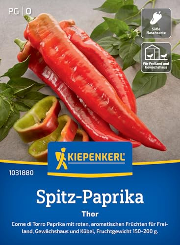 Kiepenkerl Spitz-Paprikasamen Thor 1031880 - Corne di Torro Paprika - rote aromatische Früchte - 150-200g - Saatgut, Samen Gemüse, Gemüsepflanzen