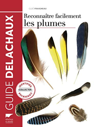 Reconnaître facilement les plumes