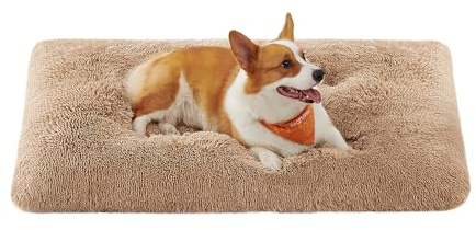Feandrea Panier pour Chien, Canapé, Lit pour Animaux, 110 x 73 cm, Rembourrage Moelleux, Lavable, Coussin pour Chien, Marron Camel PGW203K01