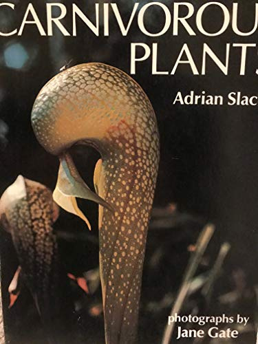 MIT Press