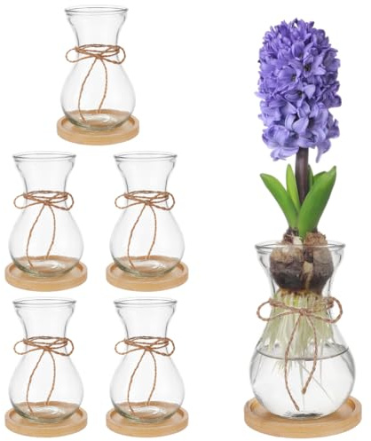 BENECREAT 6 jarrones de cristal de flores para jacintos y aguacates, jarrón de cristal decorativo transparente con base redonda para amantes de la decoración de mesa en casa y oficina